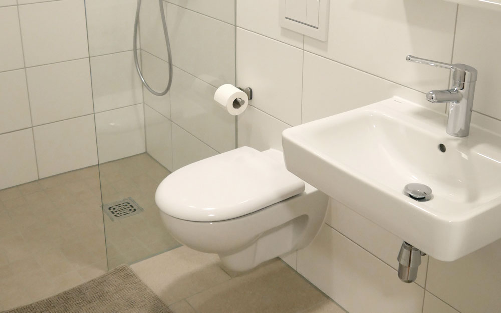 Eine ebenerdige Dusche, ein WC und ein Waschbecken in einem Bad